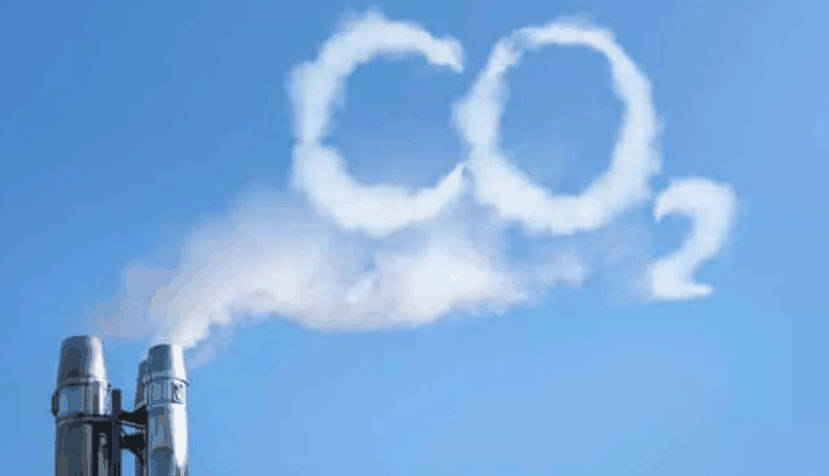 碳中和背景下，谁是碳汇的“东方之珠”？